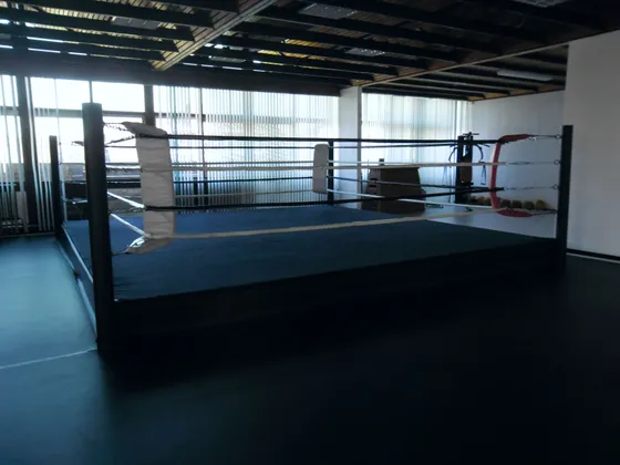 Black Boxing Ring Canvas Floor Cover with Corner Pads and MMA Floor Vinyl Cover