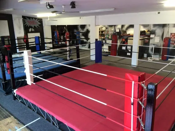 Two Boxing Ring Canvases with Red and Royal Blue Floorings, with corner pads and rope covers